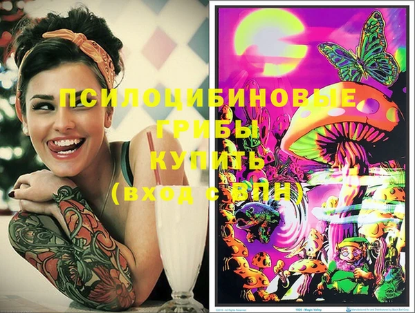 винт Мегион