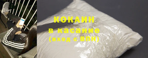 шишки Медногорск