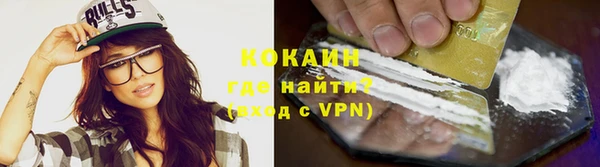 шишки Медногорск