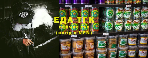 шишки Медногорск