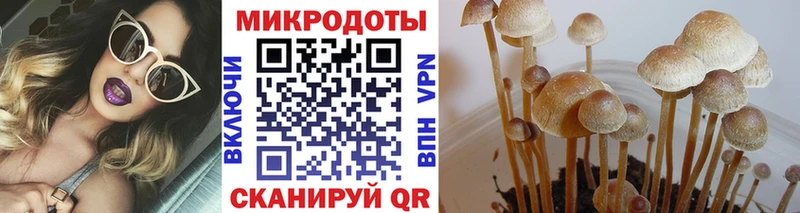 Галлюциногенные грибы прущие грибы Лянтор