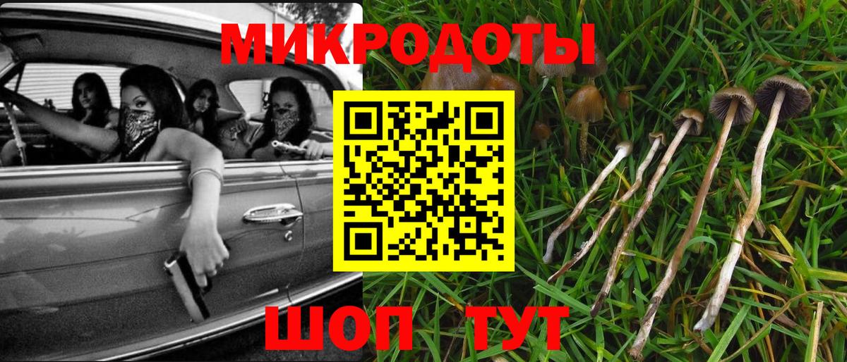 Псилоцибиновые грибы Psilocybe  хочу   Лянтор  Галлюциногенные грибы GOLDEN TEACHER 