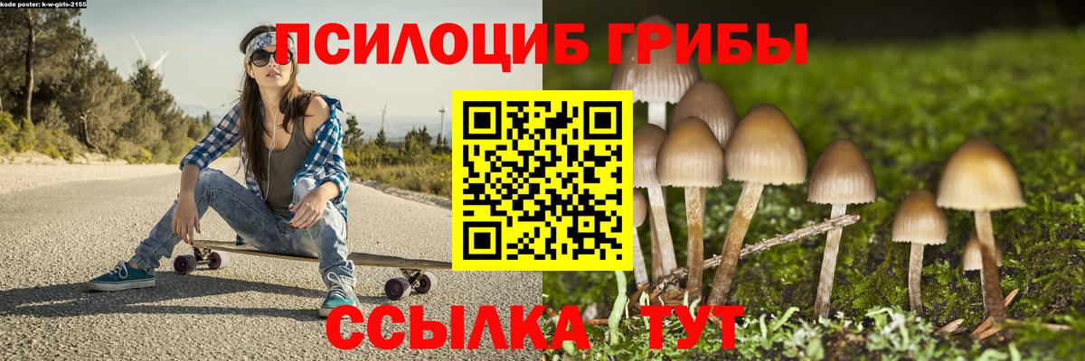 Лянтор  Галлюциногенные грибы прущие грибы  Вход с VPN 